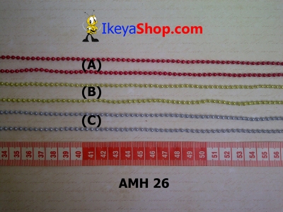 AMH 26 A C  large2